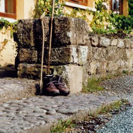 Hanora's And Restaurant 4* Ballymacarbry