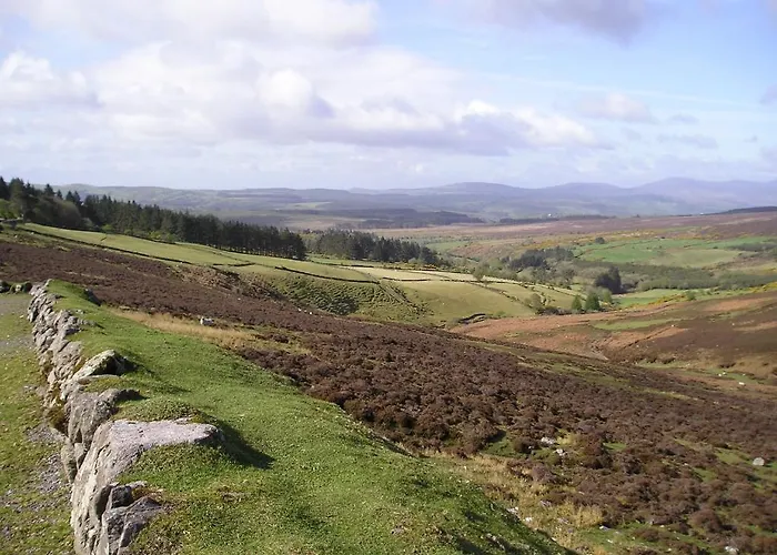 Hanora's And Restaurant 게스트하우스