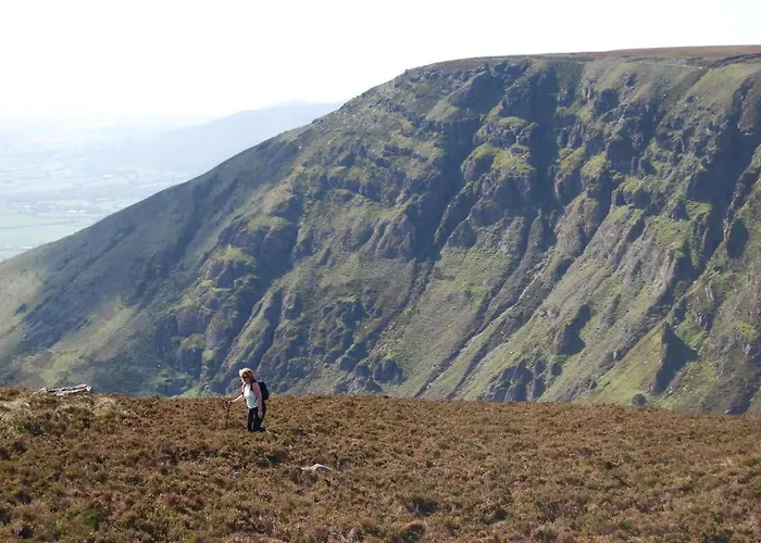 Hanora's And Restaurant 게스트하우스 Ballymacarbry