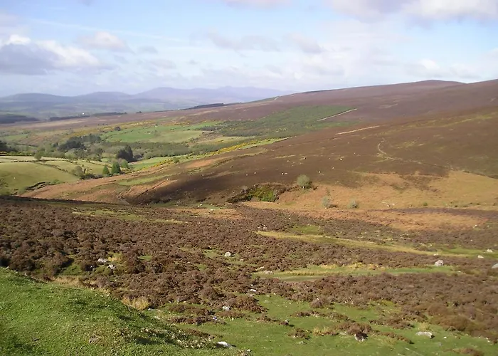 Hanora's And Restaurant 게스트하우스 4*